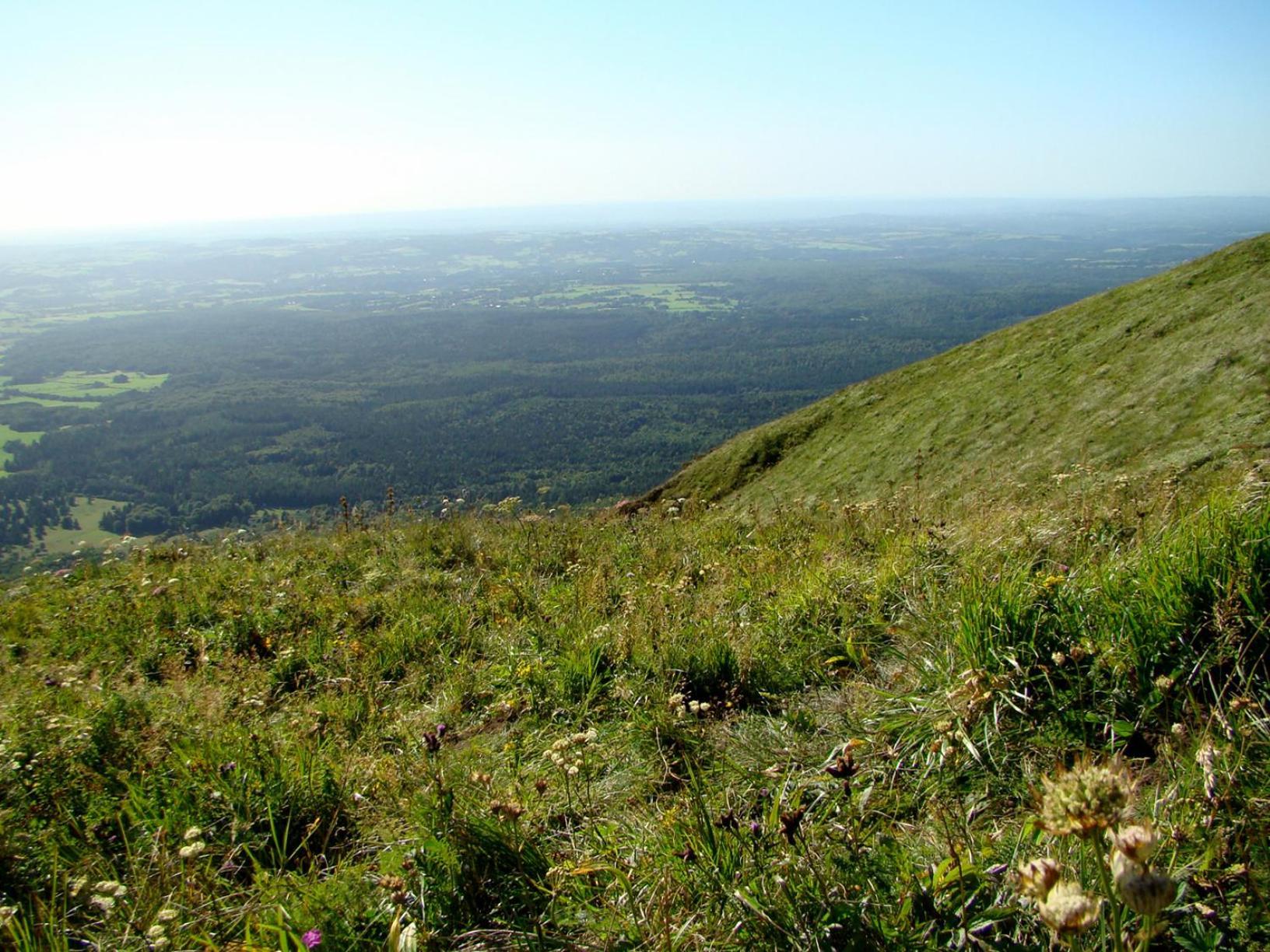Arum Orcines Exterior foto